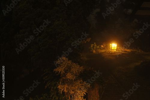 garden lights at night