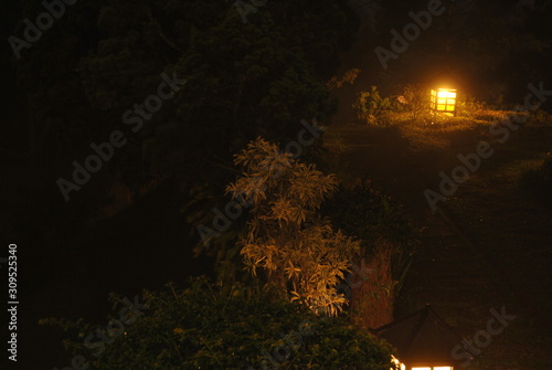 garden lights at night