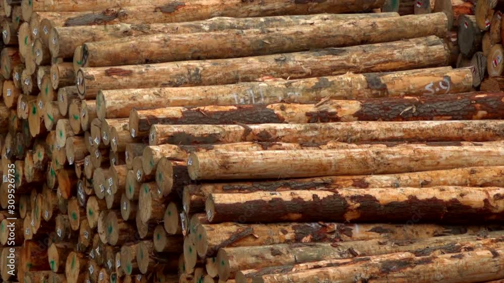 wooden logs neatly in warehouse wooden logs neatly in warehouse