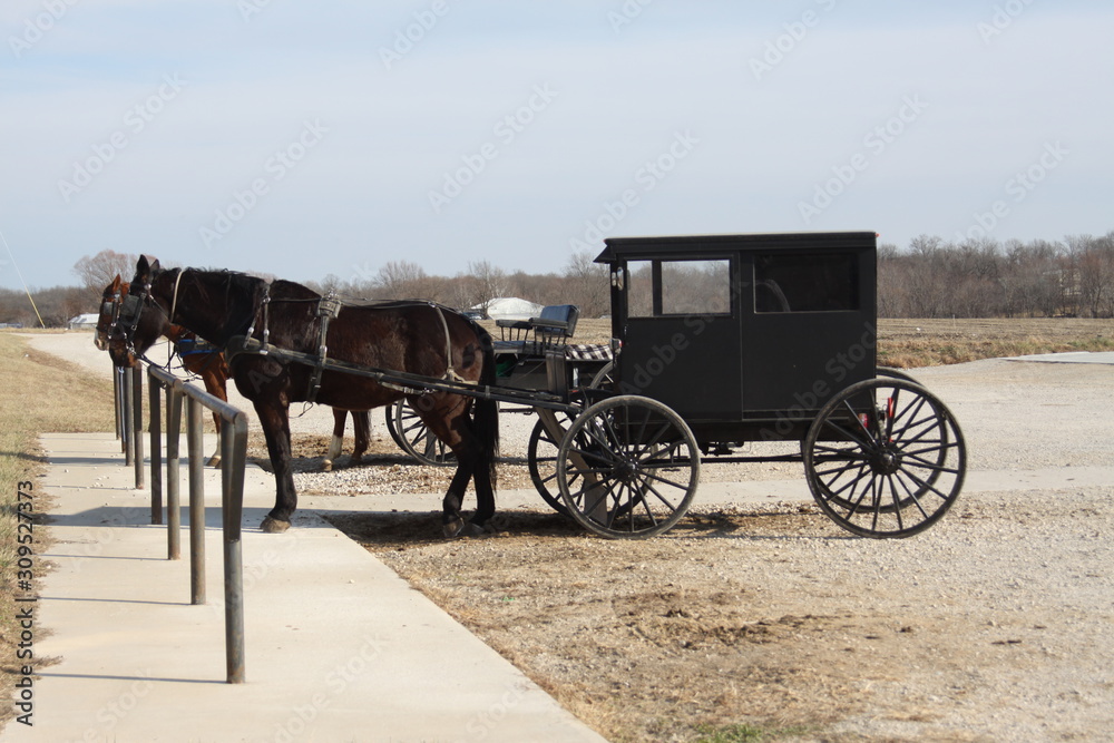 Amish Living 2019 I 