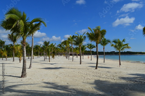 Stunning palm trees on a tropical Caribbean beach white white and blue water © Magic Vova