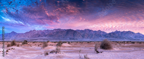 Panorama. Colorful sunset in desert area of nature reserve and ecological anc...