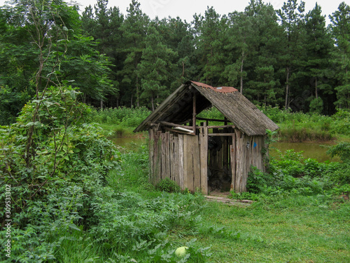 Old wooden hut near the lake in the forest. Wooden cabin standing among  trees in forest during the summer.  Cottage Suitable for fishing and hunting.