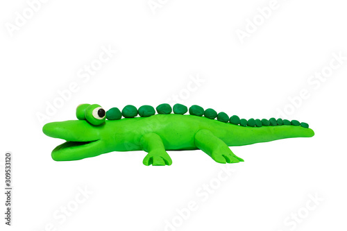 Cartoon characters alligator isolated on white background.