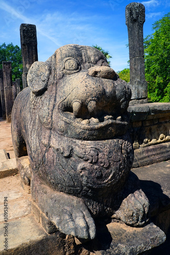 Carving of a fierce-looking dog at the Ancient City of Poḷonnaruwa