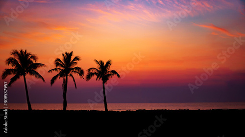 Silhouette Palm Trees By Sea Against Romantic Sky At Sunset © BigBlues
