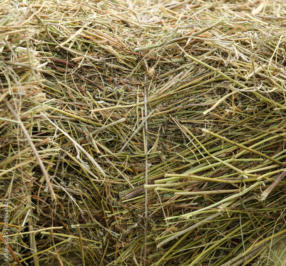 Dry hay as an abstract background
