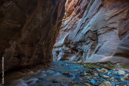 Zion Parco Nazionale National Park Utah USA Stati Uniti Marzo Primavera