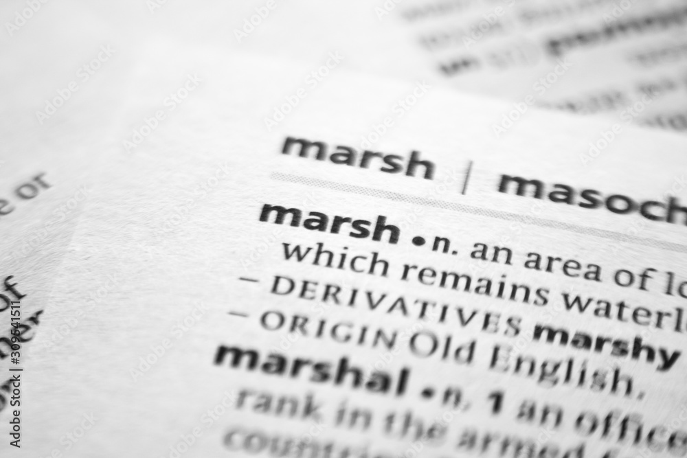 Fototapeta premium Word or phrase Marsh in a dictionary.