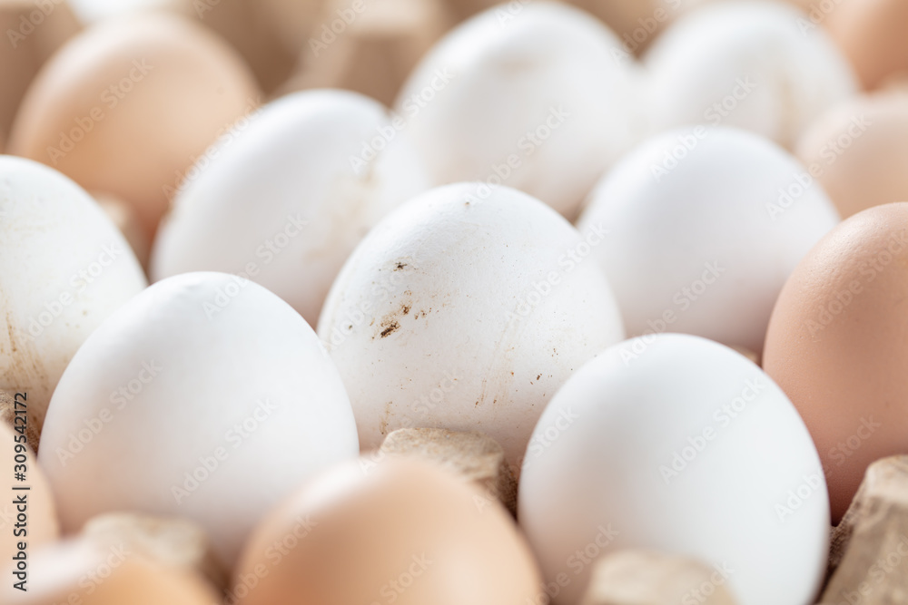Fresh chicken eggs in industrial mud as a background Fresh chicken eggs in industrial mud as a background