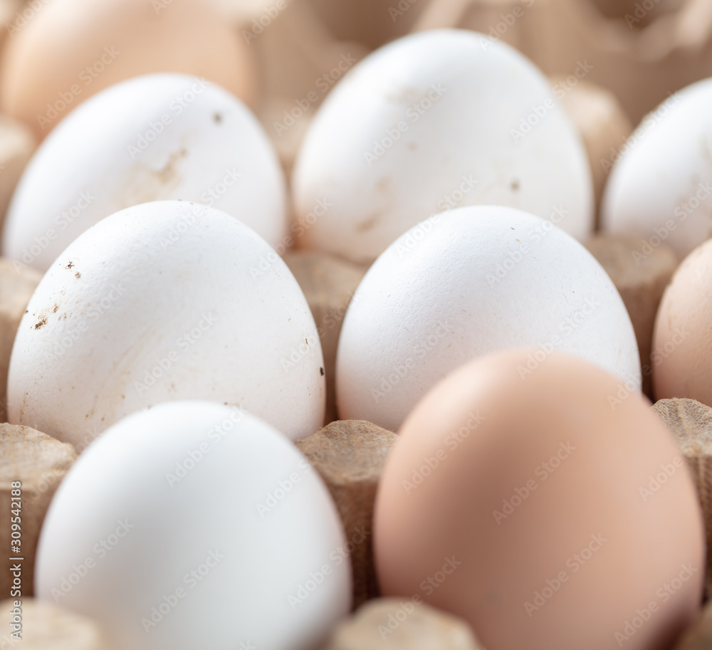Fresh chicken eggs in industrial mud as a background Fresh chicken eggs in industrial mud as a background
