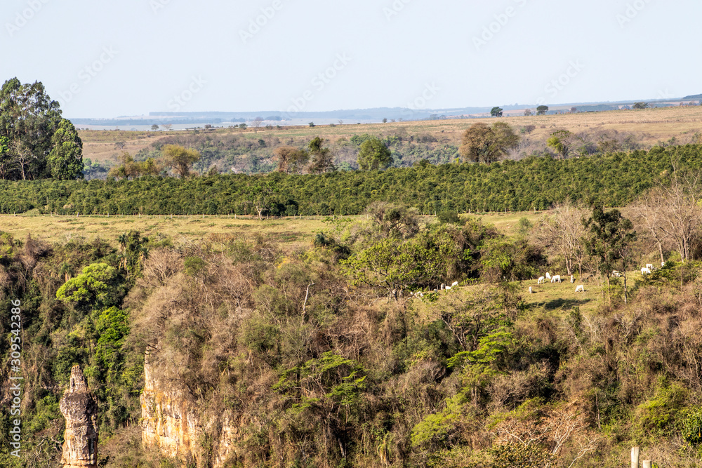 Rock formation composed of sandstone known as Stone Tower or Finger of God, in Ocaucu municipality, in Sao Paulo state, Brazil Rock formation composed of sandstone known as Stone Tower or Finger of God, in Ocaucu municipality, in Sao Paulo state, Brazil