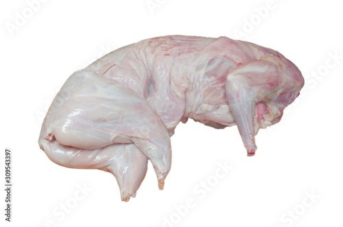 meat carcass of a hare on white background