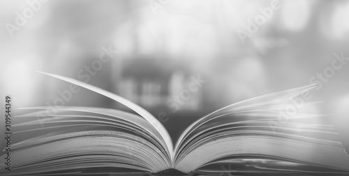 The concept of education by planting a tree of knowledge in the opening of an old book in the library and the magical magic of light that flies to the destination of success. Beautiful background