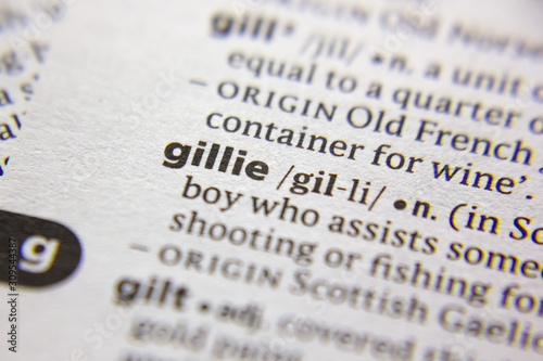 Word or phrase Gillie in a dictionary. photo