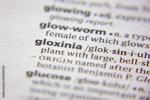 Word or phrase Gloxinia in a dictionary.