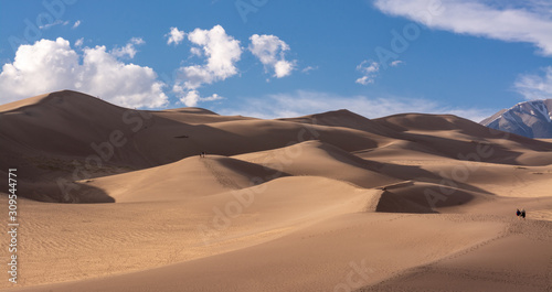 Senic view in Great Sand Dunes National Park in Colorado  USA