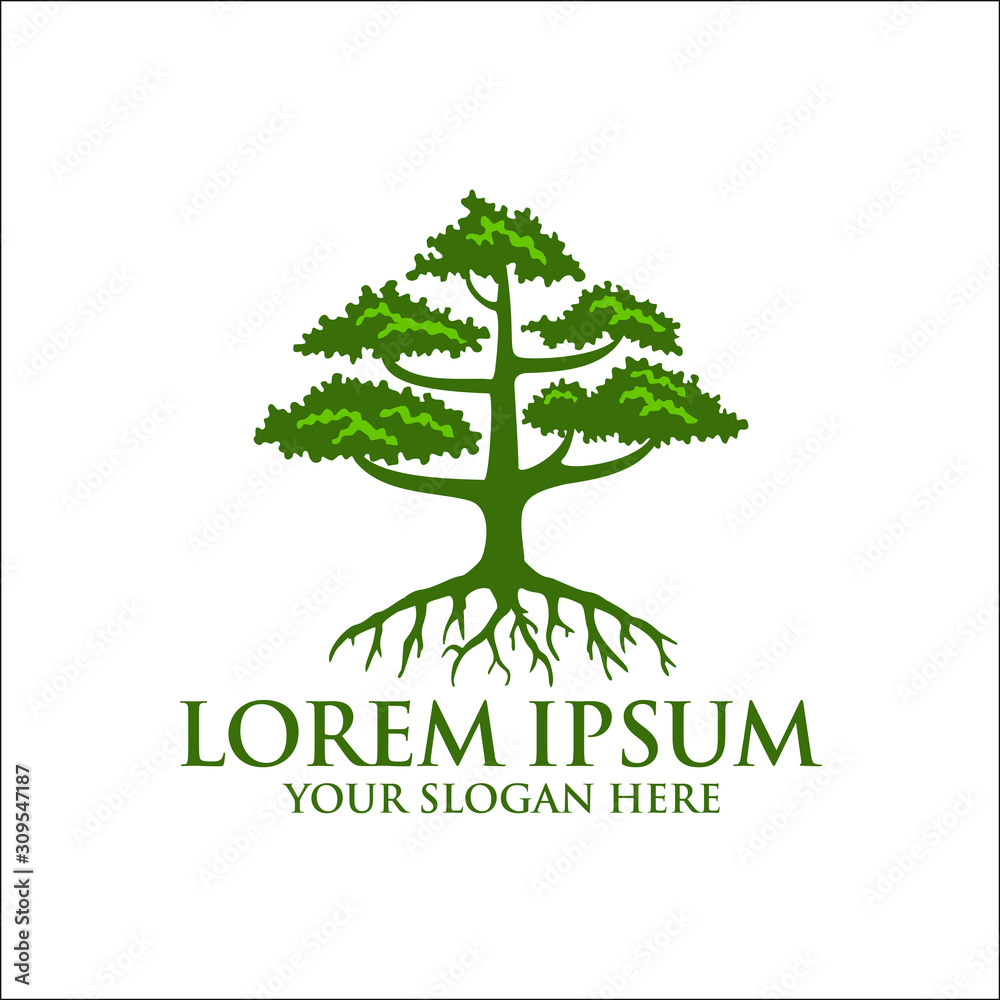 Obraz premium Tree with Roots Logo Design