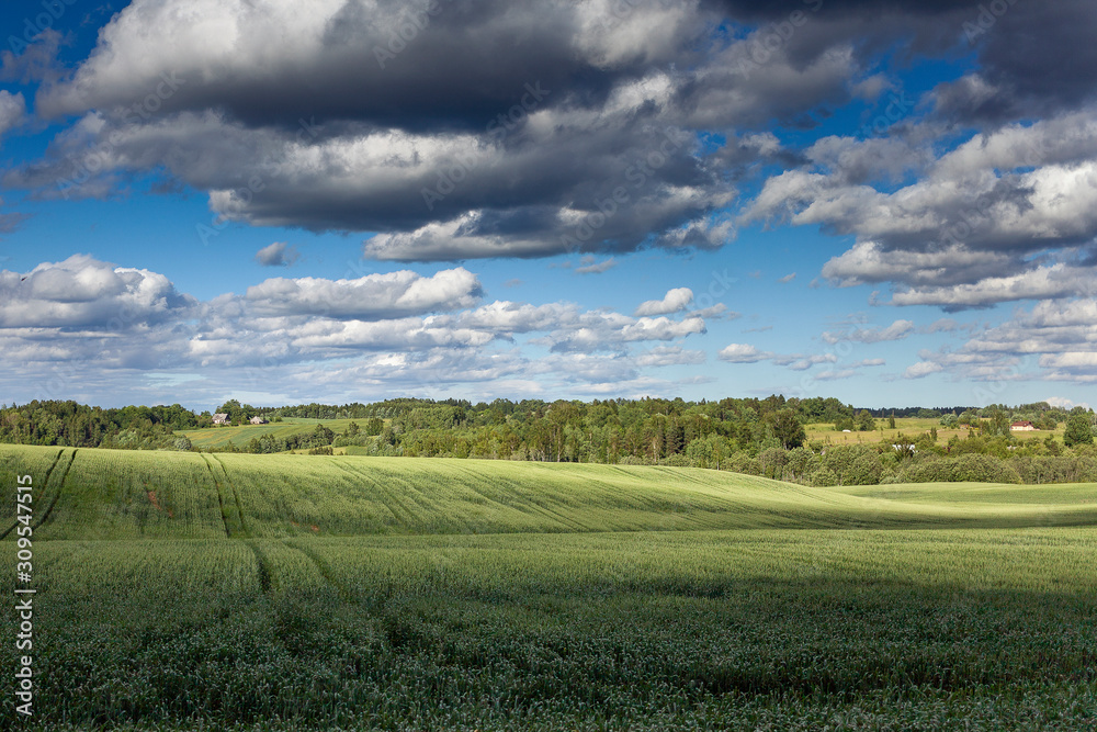 Big clouds over green land. Big clouds over green land.
