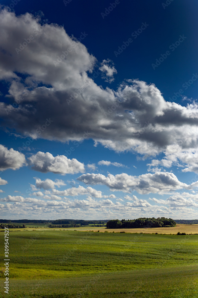 Obraz premium Big clouds over green land.