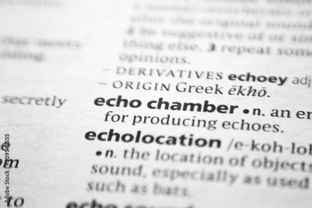 Fototapeta premium Word or phrase Echo chamber in a dictionary.