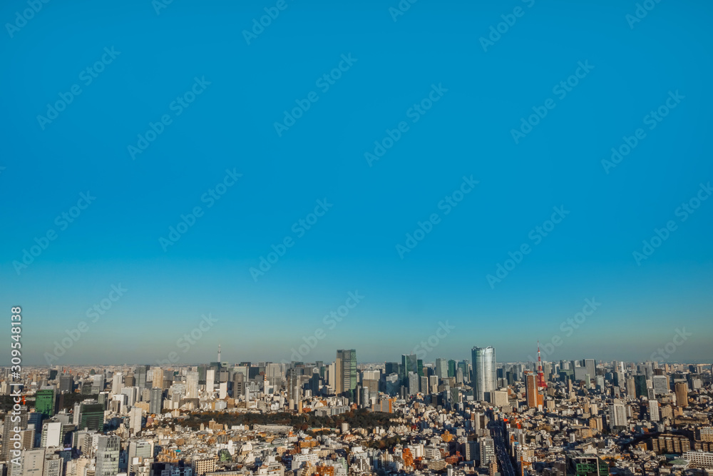 Fototapeta premium 日本,東京の典型的な風景 Scenery of Japan in Tokyo