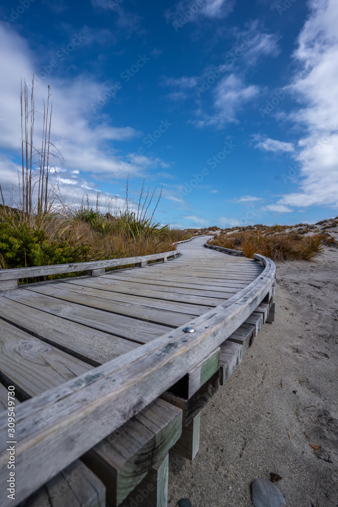 Fototapeta premium Hiking Trail In New Zealand With Wooden Walkway