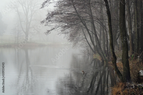 Misty winter morning on the river. The beginning of winter and fog.