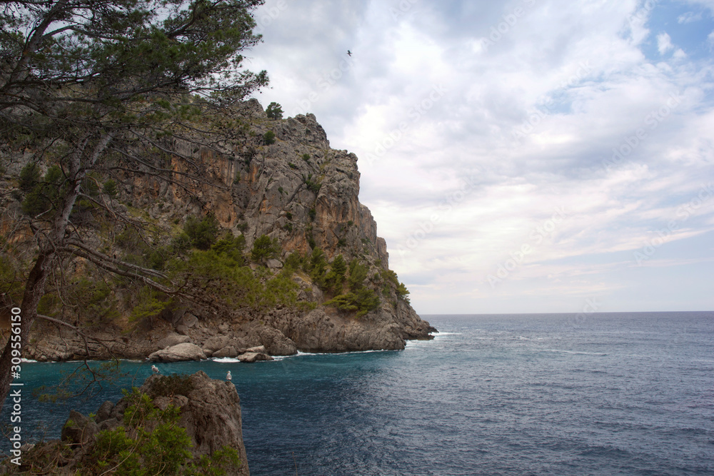 Seascape in Mallorca. The Mediterranean.	