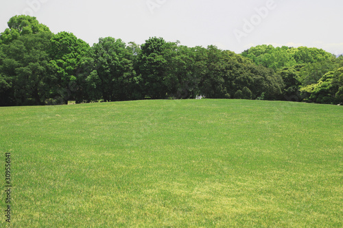 新緑 新緑の芝生広場 新緑の草原 芝生広場 草原