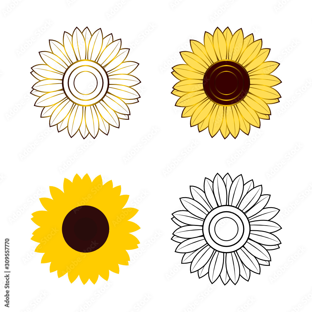 set of sunflowers vector isolated on white background