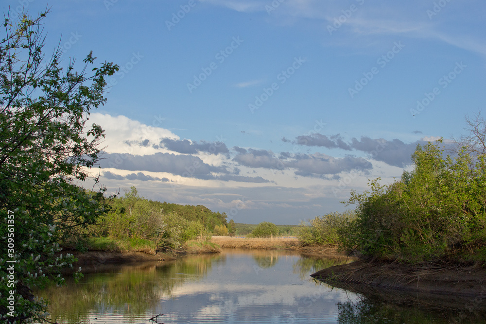 Landscape near the Siberian river in summer, with clouds in the sky and bushes on the banks Landscape near the Siberian river in summer, with clouds in the sky and bushes on the banks