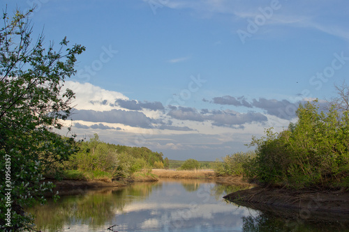 Landscape near the Siberian river in summer  with clouds in the sky and bushes on the banks