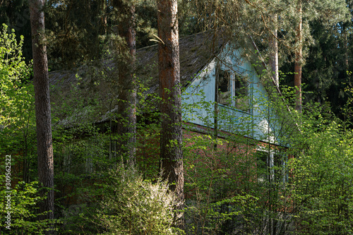 An abandoned house in a forest