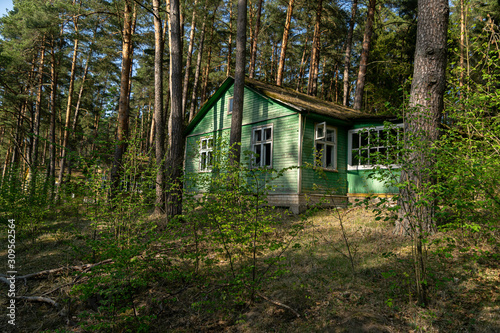 Old and abandoned house in a forest