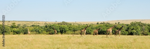 Fototapeta Naklejka Na Ścianę i Meble -  Africa Landscape