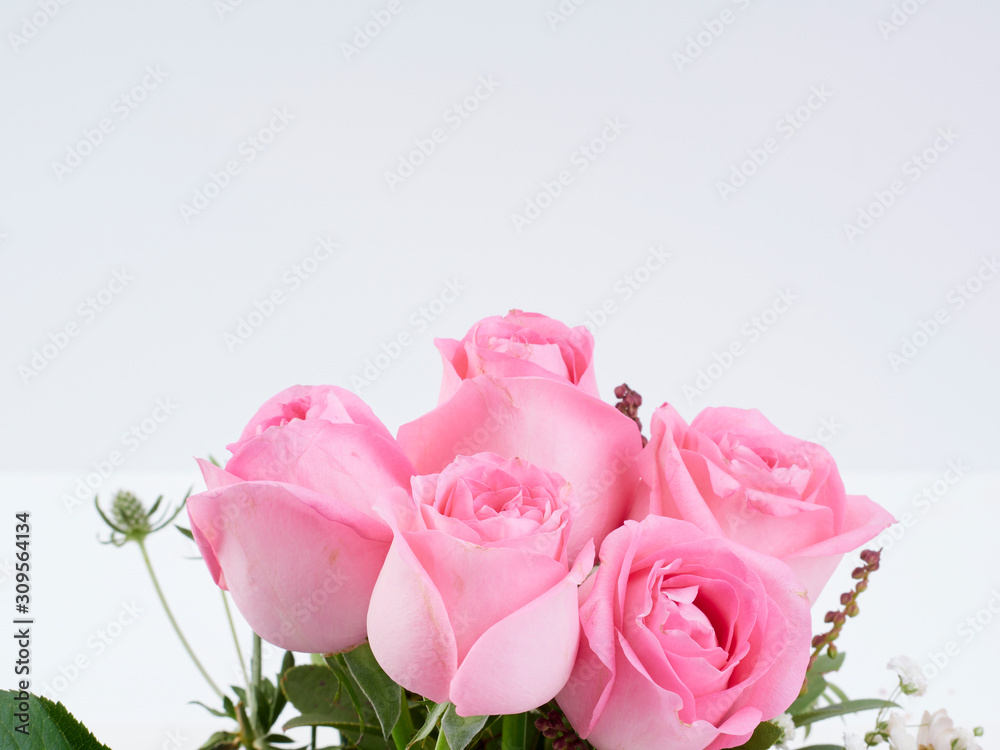 Close-up of beautiful pink roses.