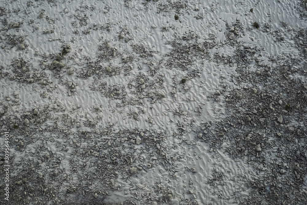 Obraz premium Background image. Sand seabed top view for background and texture