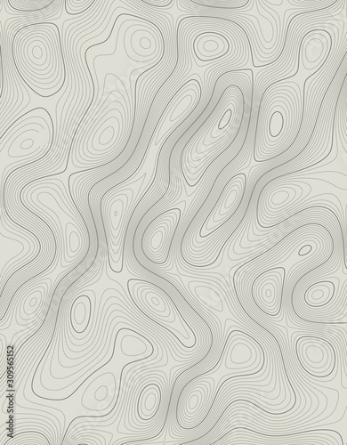 topographic line contour map background, geographic grid map