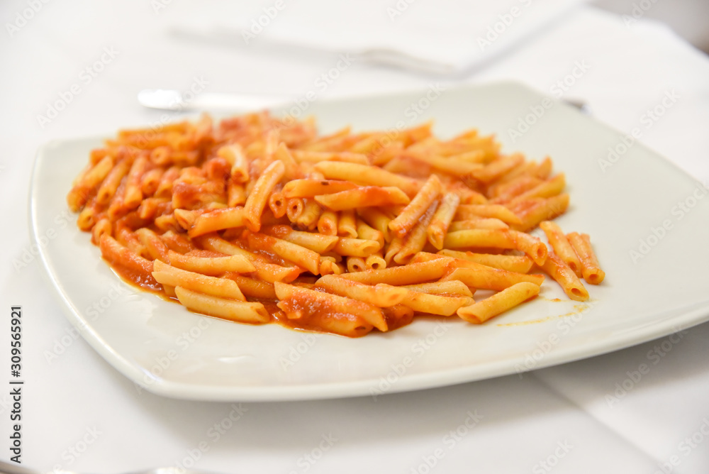 Penne With Tomatoes in the Plate Penne With Tomatoes in the Plate