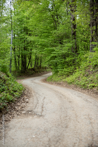 A curvy road at a cloudy day going through a forest.