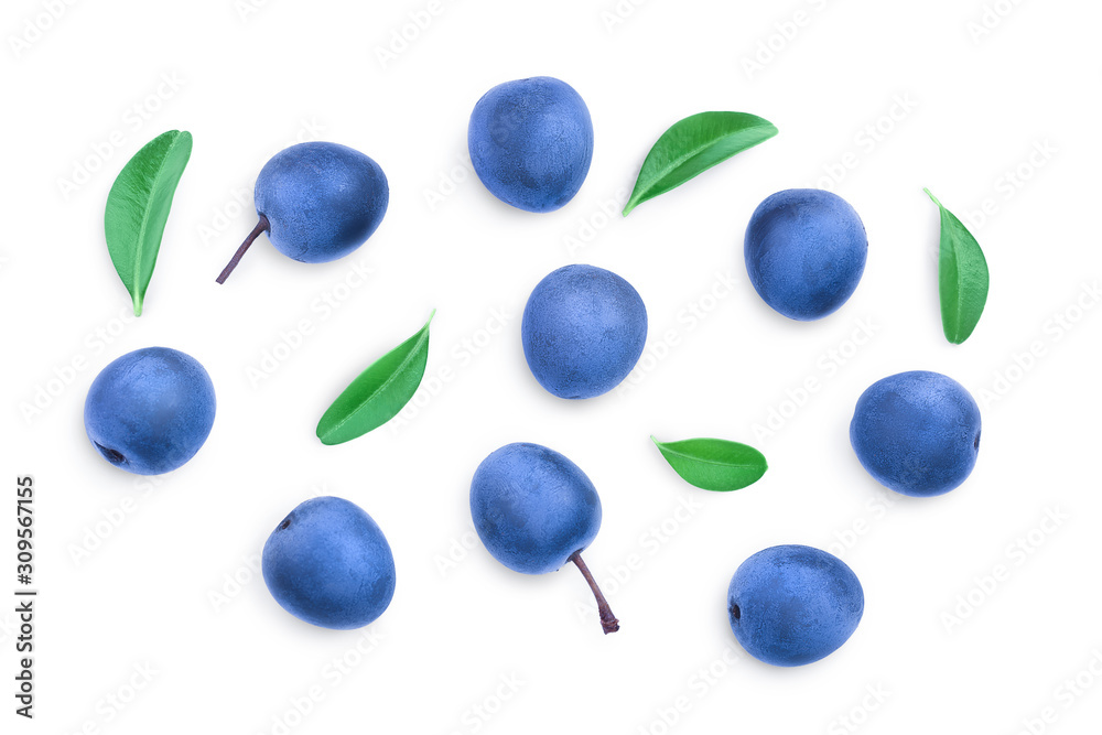 Blackthorn or Sloe berries with leaves isolated on white background. Prunus spinosa. Top view. Flat lay Blackthorn or Sloe berries with leaves isolated on white background. Prunus spinosa. Top view. Flat lay
