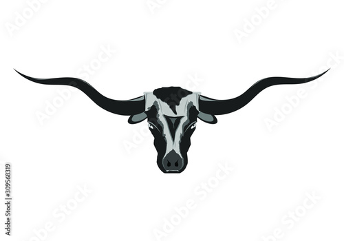 Cows head