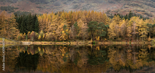 Beautiful colorful vibrant Autumn Fall landscape image of Blea Tarn with golden colors reflected in lake