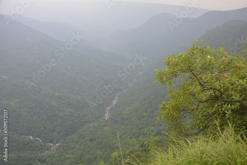 The fog on the hills of Cherrapunjee with trees and a stream flowing as seen from Eco Park, selective focusing