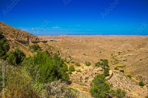 Desert landscape with olive trees near Matmata in the south of Tunisia, North Africa