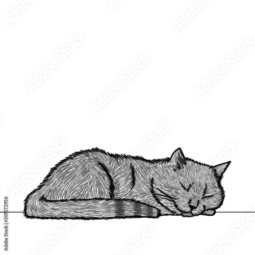 Drawing of a cute sleeping cat, resting its head on its paw. Black and white illustration of an animal. Realistic image of an animal. Vector isolated illustration character