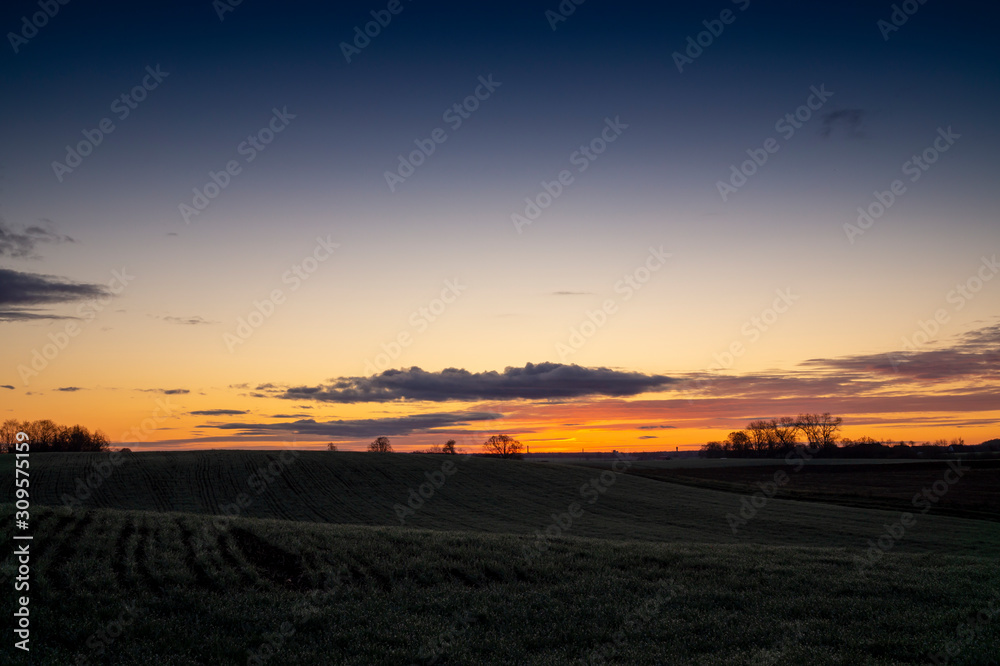Beautiful dark sunset with tree silhouettes Beautiful dark sunset with tree silhouettes