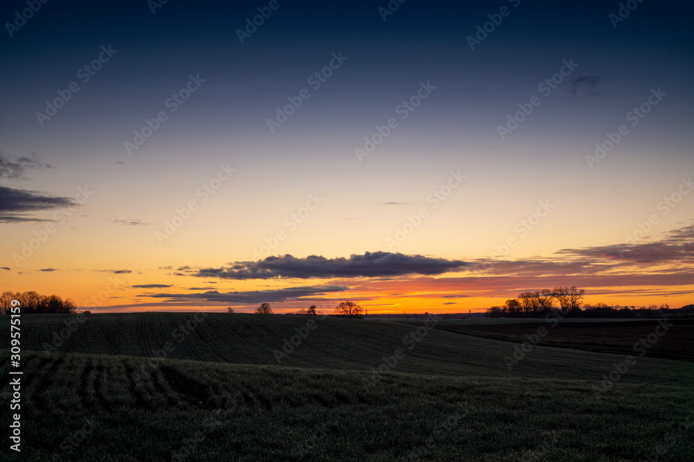 Beautiful dark sunset with tree silhouettes