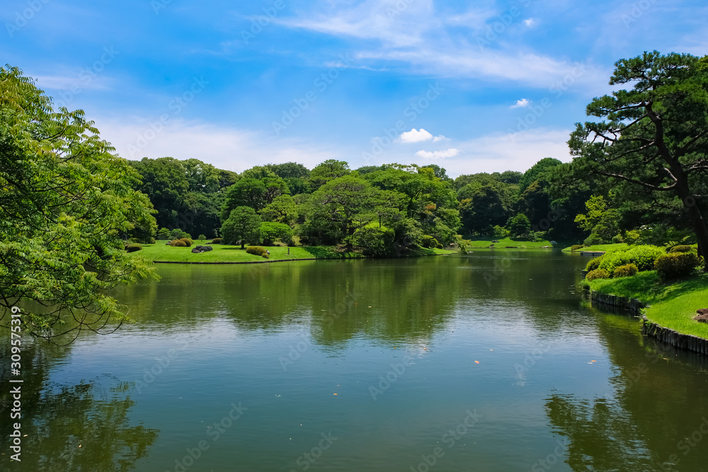 新緑の六義園 新緑の六義園